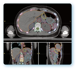 Icon Group’s Executive Manager of Clinical Care, Trent Aland