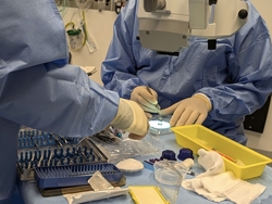 (L-R) Peter Grech, Associate Professor Andrew White, anaesthetist Dr Elaine Lee,  scrub nurse Sarah Purse, anaesthetic nurse Wendy Hamson, and scout nurse Carina Avelino at Canberra Microsurgery